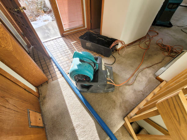 Best Water damage restoration services  in Chenoweth, OR