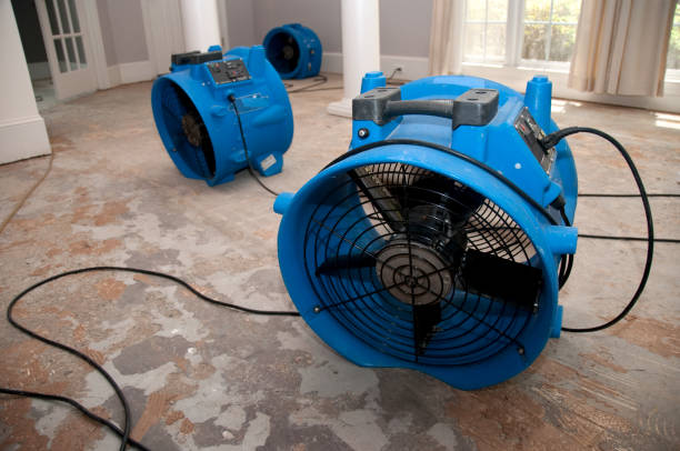 Best 24/7 water damage repair  in Chenoweth, OR